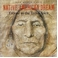 【Native American Dream CD】ヒーリング音楽NEW WORLD 