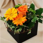 �A�����W�����g�@A