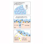 スタイルック クレンジングキューブ