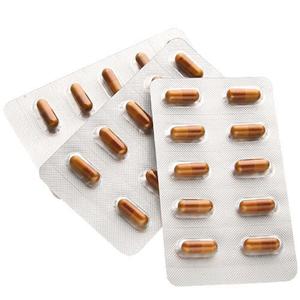 SHIRAYUKI（シラユキ）