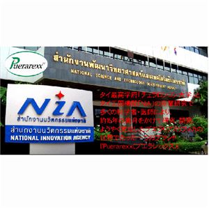 �T�v�������g B2UP�v�G�����b�N�X