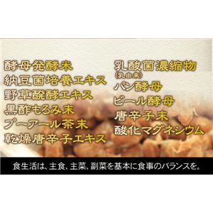 発酵食品凝縮粒 180粒【2個セット】