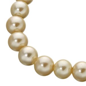 貝パールドッグブレスレット プードル Mサイズ