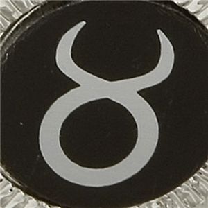 選べる星座のラペルピン  おうし座