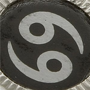 選べる星座のラペルピン  かに座