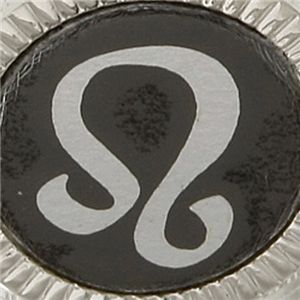 選べる星座のラペルピン しし座