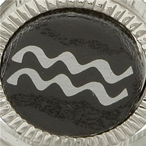 選べる星座のラペルピン みずがめ座