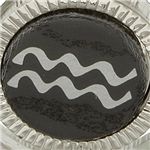 選べる星座のラペルピン  みずがめ座