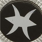 選べる星座のラペルピン  うお座