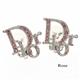Christian Dior　イヤリング Rose/D61211