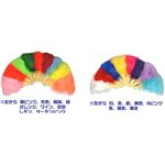 【在庫処分特価】羽扇子　薄水