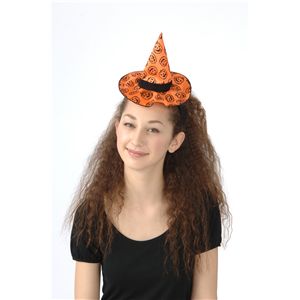 �p���v�L���X�q�J�`���[�V��