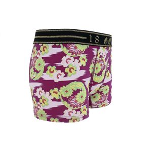 �{�N�T�[�p���c �ԗ։� �� L�T�C�Y 2���Z�b�g