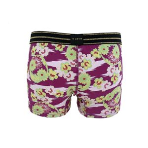 �{�N�T�[�p���c �ԗ։� �� L�T�C�Y 2���Z�b�g