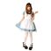 yRXvz Alice's Xs[hAX Gv̌^RXv 4560320825746