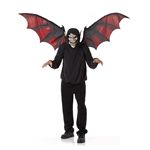 y2012nEBRXvz Vampire Mask and WingsizS̃}XNƉώEBOj 019519047888