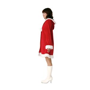 【2010年クリスマス向け】ダイアナサンタ