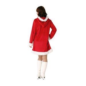 【2010年クリスマス向け】ダイアナサンタ