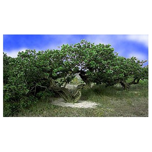 �}�X�e�B�b�N�V�����v�[�@2�{�Z�b�g