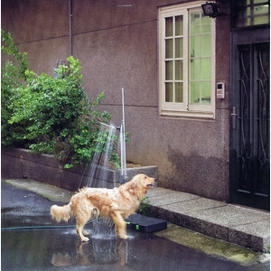 �����^�т���y�V�����[���A�E�g�h�A�E�V�����[��