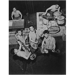 青春のエレキ・パーティー -THE GOLDEN AGE OF JAPANESE ELECTRIC GUITAR -