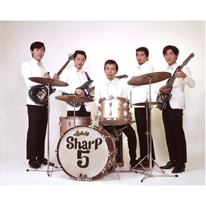 青春のエレキ・パーティー -THE GOLDEN AGE OF JAPANESE ELECTRIC GUITAR -