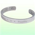 �`�^���_�C�������h����Q���}�o���O�� ��uEverything�@is�@Possible�v