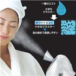 �䡼�ޥ󡡥ۥ磻�ȥߥ��ȡ��ץ���ʥࡡñ��