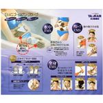 �䡼�ޥ�EMS������ǥ󥰥�����