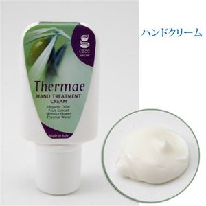 �M���W�C�[�@�{�f�B�P�A4�_�Z�b�g