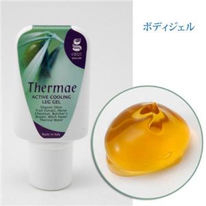 �M���W�C�[�@�{�f�B�P�A4�_�Z�b�g