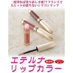 �G�e���i���b�v�J���[�@�Z�h�i�x�[�W��