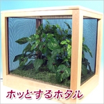 ホッとするホタル ホタルの楽園