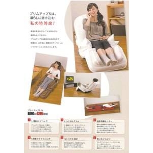 骨盤ストレッチ&マット　Plimup S MTG骨盤ストレッチ・プリムアップS（PMS－H1314）を買取