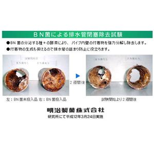 排水管洗浄剤 お願いだからほっといて 流し台用 1000ml