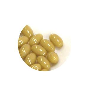 �X�L�����W�J���@�v���Z���^�T�v�������g