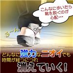 ドクターメルのシューリフレッシャー【2本組】