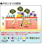 薬用ラヴィリン デオドラントクリーム アシ用(医薬部外品)