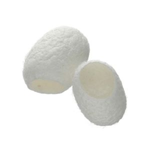 �܂��  30������~3�g