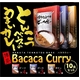 博多とんこつバカカカレー10食セット