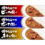 博多とんこつバカカカレー10食セット