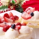【12月7日で予約終了 2010年クリスマス向け】ブランブリュン 苺のホワイトクリスマス