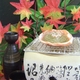 かにみそ甲羅焼き 15個