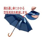 �ϕ��P �l�C�r�[�u���[