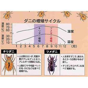 �_�j�߂�V�[�g4���g