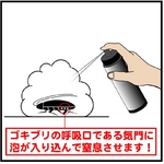 ゴキブリさようなら 3本組