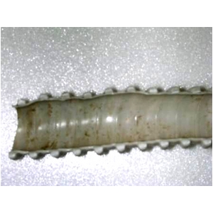 ���C���|���v�̐��܁@�Q�O��