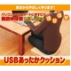 USBNbV