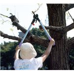 ものすごく楽に切れるラチェット 太枝切り鋏