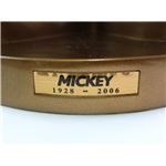 �A�j�o�[�T���[�~�b�L�[�@�ɑ�u�����Y��